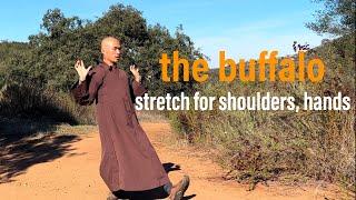 The Buffalo | 5-Minute Qigong Stretch HANDS, and SHOULDERS