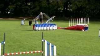behendigheidsteam KC Gooi en Eemland 14 okt 2012