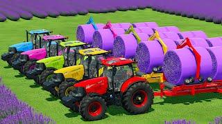 HARVEST, LOAD & MAKE LAVENDER BALES WITH CASE TRACTORS & JOHN DEERE HARVESTERS - FS22