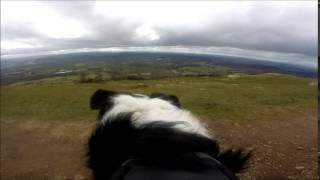 Worcestershire Beacon in the Malvern's from a dogs POV