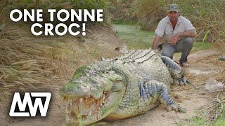 Matt Wright Feeds A Huge ONE-TONNE CROC called Tripod! | Matt Wright