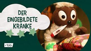 Pittiplatsch: Der eingebildete Kranke | Unser Sandmännchen