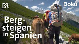 Einzigartiges Gebirge in Spanien: Bergsteigen in den Picos de Europa  | Bergauf-Bergab | Doku | BR