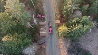 Einsatz im Privatwald