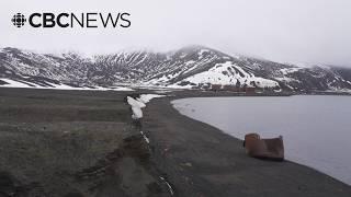 Whaling settlement site in Antarctica helps map climate change