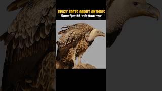 Amazing Facts About Animals | Animal Facts | Facts In Hindi #shorts