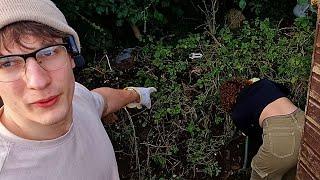 Danger at the Allotment! - Alfie's Agriculture