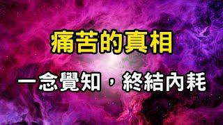 痛苦的真相：你只需要一念覺知，就能從痛苦中解脫！終結內耗，走出痛苦的迷霧 #開悟 #覺醒 #靈性成長