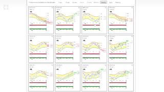 MJT on USD Pairs & Gold