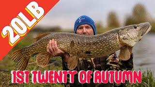 Swim choice success : Pike fishing UK