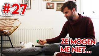 Naar het kattencafé! - KOEN DATE ROOS #27