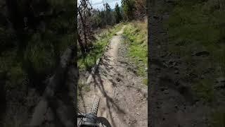 Throw the Goat has nice  features,  before you get the Yoda and things go crazy  #mtb #cap #fyp
