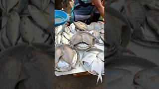 Uran Naka Fish Market  #shorts #trending #viral #youtubeshorts #fishing #fishmarket