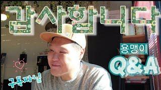 강용맹이 Q&A? 새해인사 올립니다.