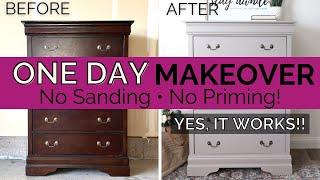 Painting Furniture Without Sanding or Priming  | All in One Paint | One Day Makeover