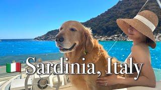  My DOG travels to SARDINIA, the most beautiful island in Italy (5 days SOUTH to NORTH)