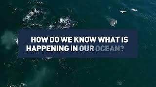 Ocean Observing System Report Card 2023