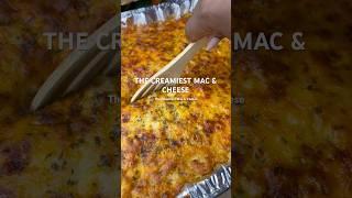 ‼️save this creamy mac & cheese recipe! Subscribe for more holiday dishes! Recipe in comments!#food