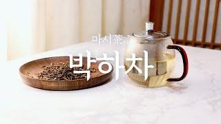 박하차 만들기 / 박하차의 효능! 박하차의 블렌딩과 박하 에이드 만드는 방법 공개!