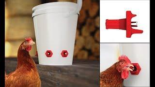 New Freeze Proof Chicken Waterers for Winter