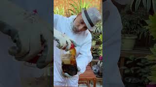 أقوي عالي فسفور من مخلفات السمك@youtubecreators #YuoTubeHighFive