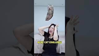 밈냥이 맞추기 챌린지 Meme Cat Challenge#shorts