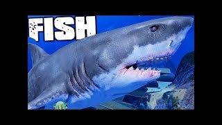 KING OF THE OCEAN(FISH FEED AND GROW)