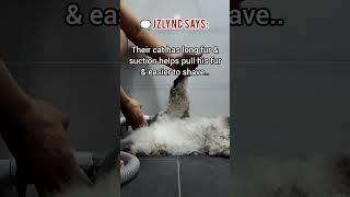Groom like a pro with Neabot Neakasa P2 Pro Pet Grooming Kit! 