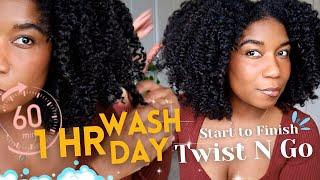 My 1 HOUR Wash Day - Start To Finish Type 4  | Twist and Go Natural Hair