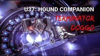 WARFRAME: U37 COMPANION UPDATE - TERMINATOR DOGGO (feat. Excalibur)