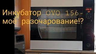 Инкубатор OVO-156. Мой отзыв!