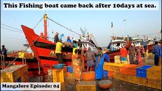 Mangalore EP04 : Friendly locals at Mangalore Fishing Port (Market) | Fishing Boat Tour