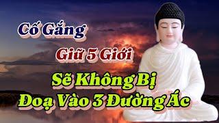 Phật nói cố gắng giữ tốt 5 giới, sẽ không bị đoạ vào 3 đường địa ngục, ngạ quỷ và súc sanh