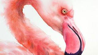 How to paint the softest fluffiest feathers of a flamingo