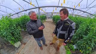 The Beanstalk Global Jose Coutinho – Hortipor - Broadcast trailer!