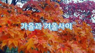 [여행로그] 푸른수목원가을과 겨울사이의 단풍풍경Pureun Arboreum