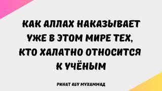 1381. Как Аллах наказывает уже в этом мире тех, кто халатно относится к учёным