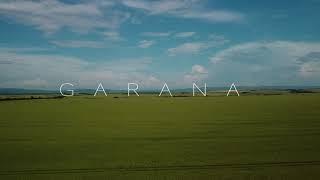 Garana - DJI MINI 2