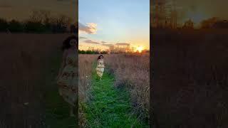 Autumn fashion  Thanksgiving photoshoot inspo! Noella frolicking in the fields at golden hour 