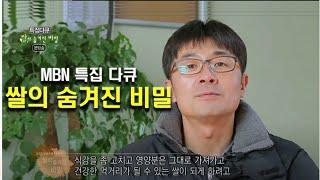 [MBN쌀의비밀] 당일도정 50년전통 소백산맥 백미 ,현미,쌀눈쌀-미소정미소