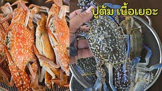 ปูม้าต้ม & นึ่ง ต่างกันยังไง ซีฟู้ดแซ่บๆ |แค่เลchannel