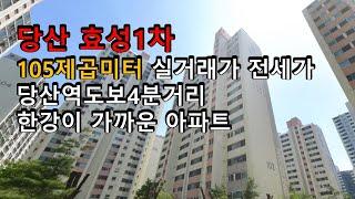 당산효성1차 105제곱미터 실거래가 전세가 한강이 가까운 아파트