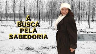 A Busca Pela Sabedoria - Cleonaide de Souza