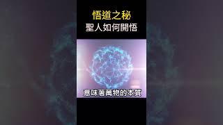 悟道之秘：古代聖人如何開悟？ | 開悟的兩大關鍵 #道德經第十二章 #覺醒 #老子