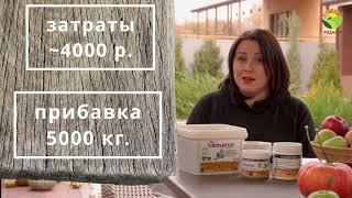Фульвовые кислоты.100 ц/га и прибыль 1:25. Итоги 2021 года.