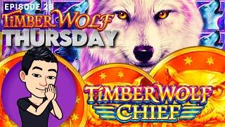 TIMBER WOLF THURSDAY!  [EP 28] QUEST FOR A JACKPOT! TIMBER WOLF CHIEF Slot Machine (Aristocrat)