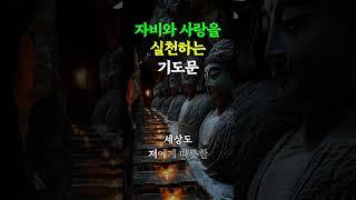 자비와 사랑을 실천하는 기도문 #참선 #깨달음의길 #조용한삶 #좋은에너지