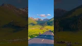 许个愿吧,我不会删这个作品,2022年的时候再回来看看吧!#治愈 #旅行大玩家 #新疆 #旅行 #自驾游 #秋天该有的样子 #那拉提#慢下来看世界