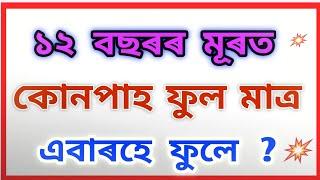 Interesting GK in Assamese । Assamese GK । Assam Competitive Exam questions ।#borahstudy