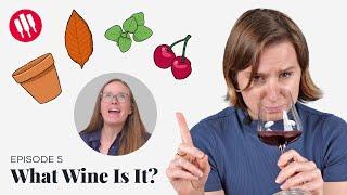 Learn by Tasting (ep.5) Wine Folly